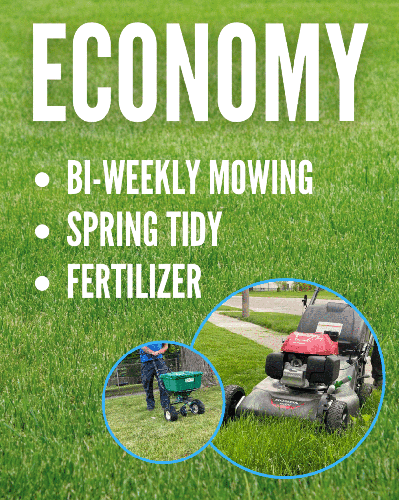 Economy landscaping service featuring bi-weekly mowing, spring tidy-up, and fertilization. Image showcases a lawn care professional using a spreader and a lawn mower on lush green grass.
