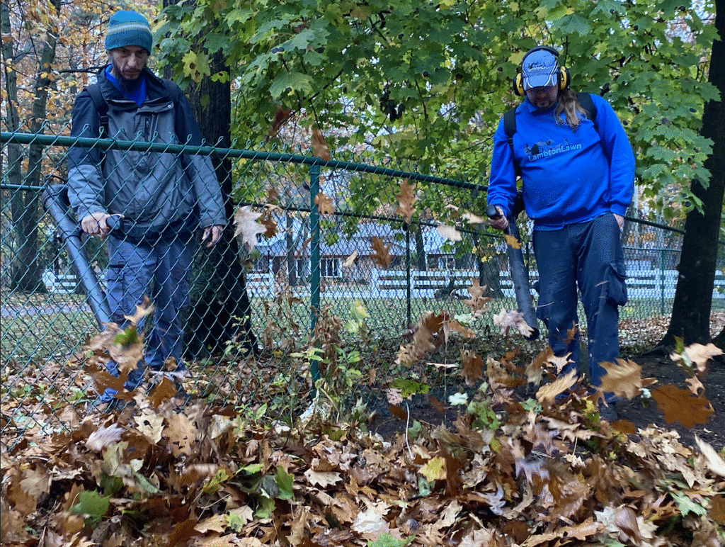 Two landscaping professionals using leaf blowers to clear fallen leaves from a yard, surrounded by autumn foliage and a chain-link fence.