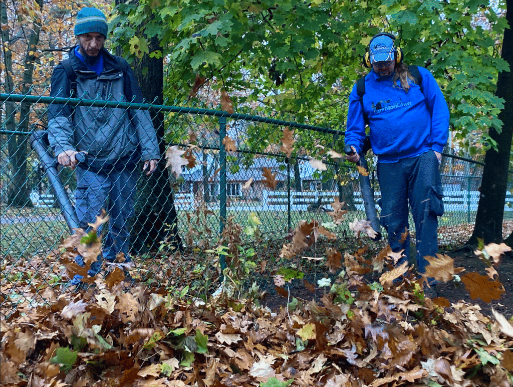 Two landscaping professionals using leaf blowers to clear fallen leaves from a yard, surrounded by autumn foliage and a chain-link fence.
