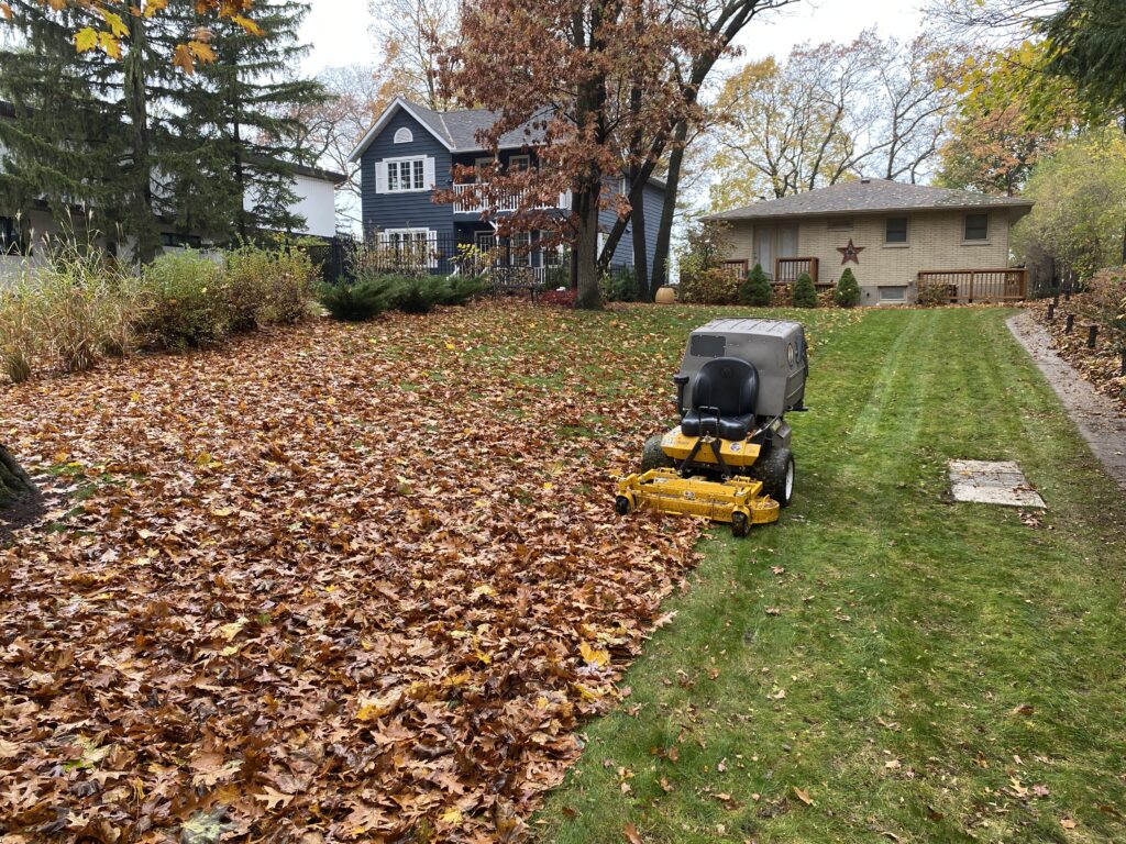 Lawn care service in progress, featuring a ride-on leaf blower clearing a yard covered in autumn leaves, with a residential backdrop showcasing well-maintained homes and landscaping.