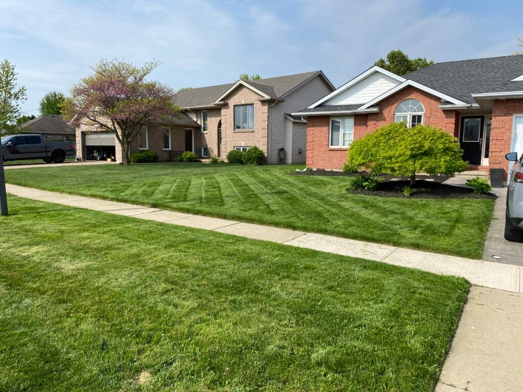 Lawn mowing in Sarnia, Sarnia mowing service