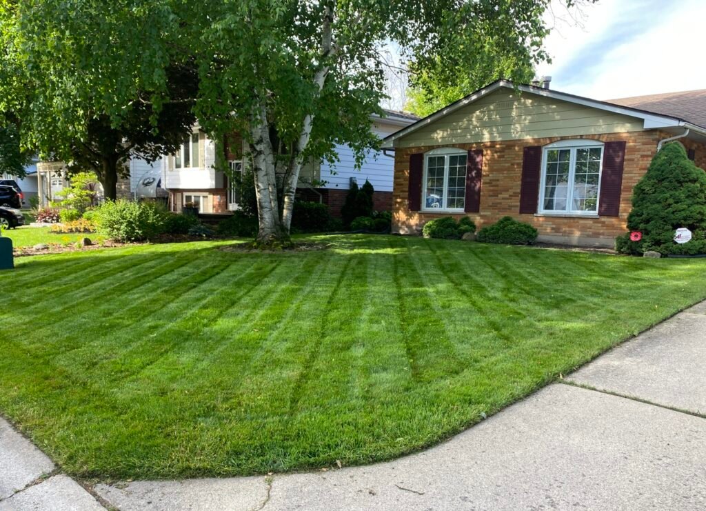 Lawn mowing in Sarnia, Sarnia mowing service