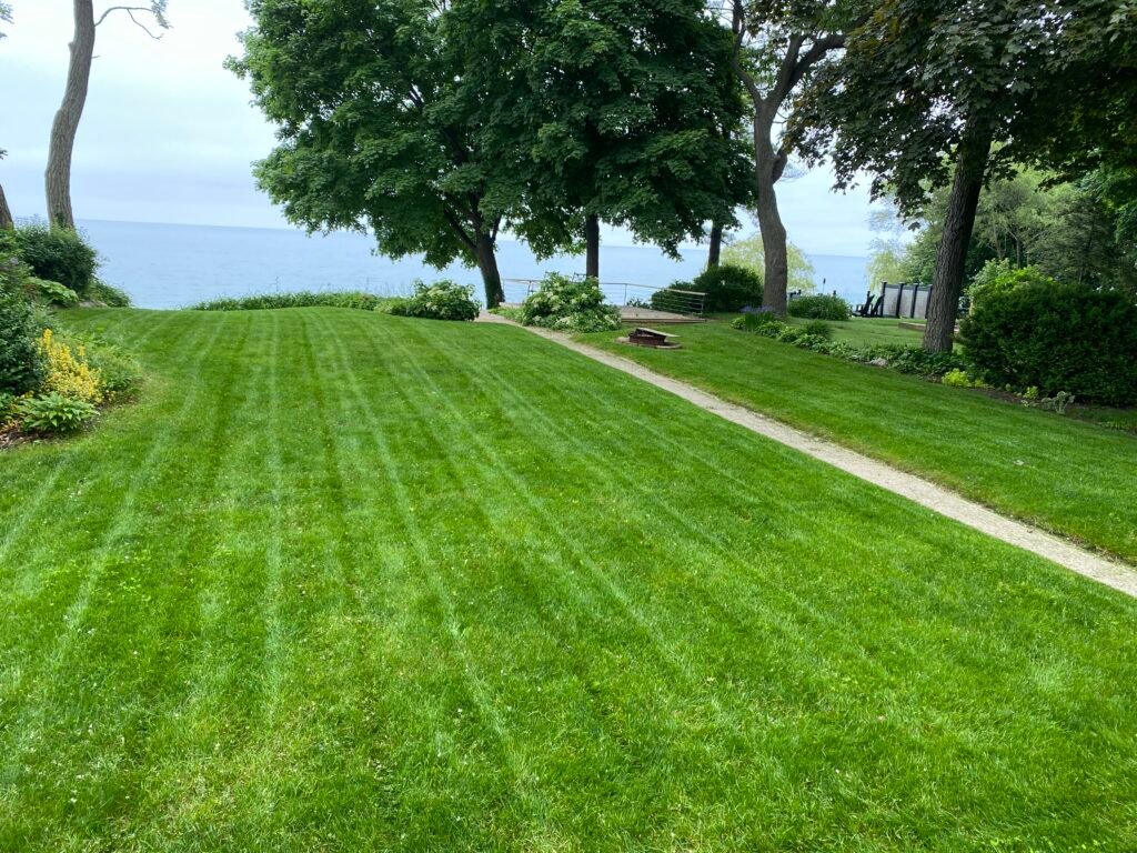 Lawn mowing in Sarnia, Sarnia mowing service