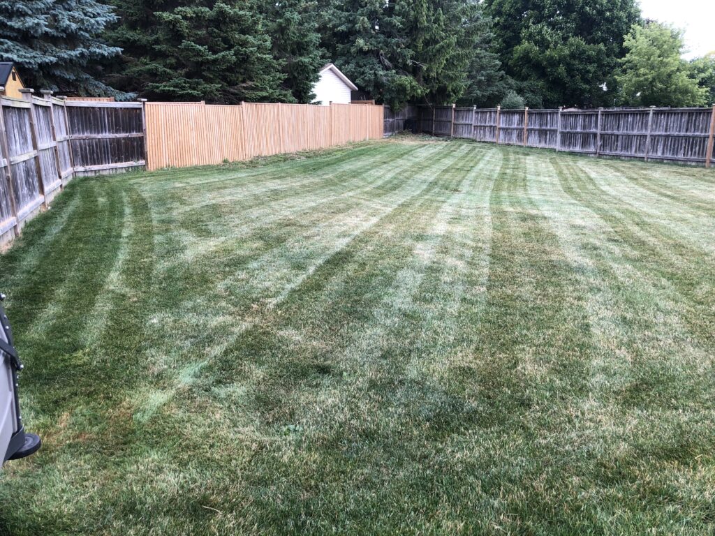 Lush, well-manicured lawn with distinct mowing stripes, showcasing professional landscaping services in a residential backyard setting.