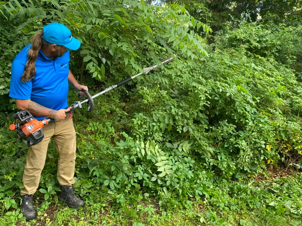 Landscaping professional using a hedge trimmer to maintain overgrown foliage in a residential yard, showcasing expert garden care and maintenance services.