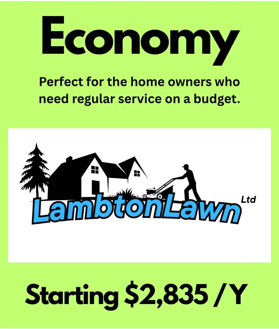Alt text: Promotional graphic for Lambton Lawn Ltd highlighting their Economy landscaping service, ideal for budget-conscious homeowners, starting at $2,835 per year.