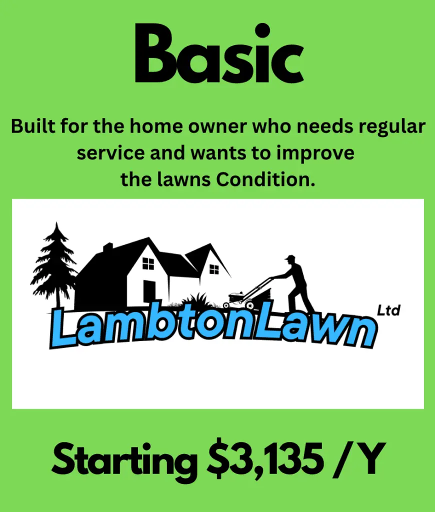 Basic landscaping service advertisement by Lambton Lawn, highlighting regular maintenance for homeowners to improve lawn condition, starting at $3,135 per year.